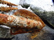 Rusted anchor