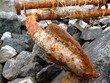 Rusted anchor tip