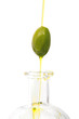 olio 15