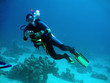 Underwater photographer