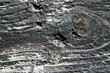 Burned board