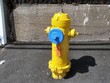 color hydrant