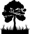 Silhouette Coconut Tree Vector