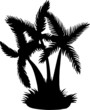 Silhouette Coconut Tree Vector