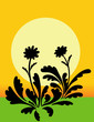 Flower Silhouette