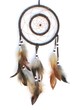 Isolated dreamcatcher with brown feathers 