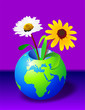 Earth & Flowers