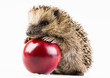 Happy hedgehog Happy hedgehog