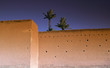 marrakech remparts OLYMPUS DIGITAL CAMERA