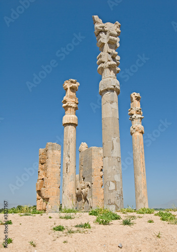 Columns of ancient city of Persepolis Columns of ancient city of Persepolis