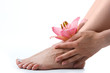 beauty woman legs with pink lily beauty woman legs with pink lily