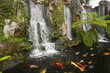 Koi fish pond with waterfalls in a Chinese Buddhist temple Koi fish pond with waterfalls in a Chinese Buddhist temple