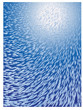 fish school under water