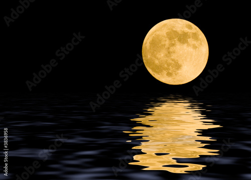 The moon
