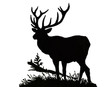 Hunt