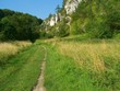 way across the fields and forest in valley
