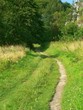way across the fields