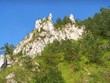 wooded rock