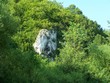 limestone rock