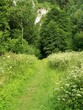 old path
