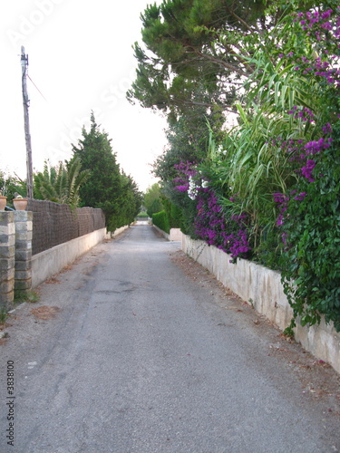rural street in Mallorca,spain rural street in Mallorca,spain