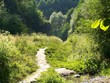 old path