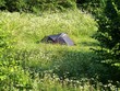 tent in valley