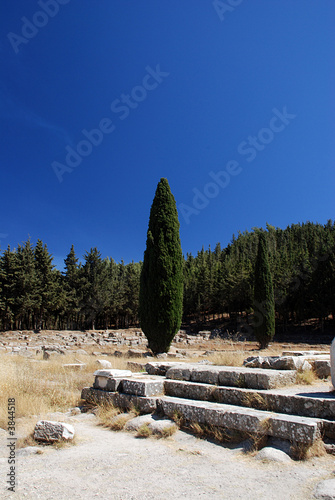 Cypress against a blue sky and ruins of greek academy Cypress against a blue sky and ruins of greek academy