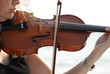 violin