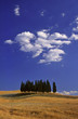 tipico paesaggio estivo in toscana tipico paesaggio estivo in toscana
