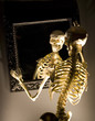 skelaton