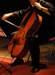Viola at a concert