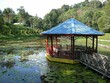 Tropical Lake Garden