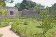 Ancient Garden
