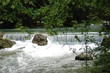 Englischer Garten