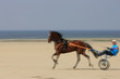 Course de cheval Course de cheval