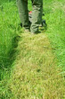 mowing the lawn
