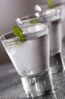 cold vodka with mint close up shoot