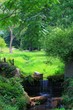 pastoral view