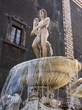 Catania fontana fiume Amenano piazza Duomo Catania fontana fiume Amenano piazza Duomo