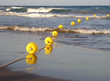 Yellow balls in the sea 