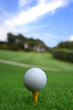 Let's golf