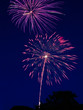 Two fireworks bursts with silhouette of trees visible