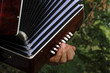 accordéon 2 accordéon 2