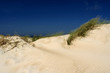 dunes in nida, lithuania. dunes in nida, lithuania.