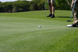 putt