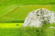 campo