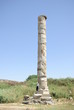 Site of the Temple of Artemis