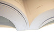 IMG_3168livre.JPG
