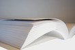 IMG_3171livre.JPG